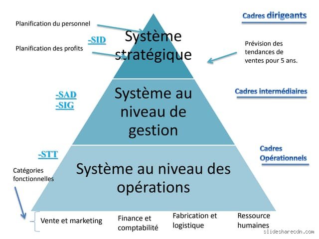 Quels sont les deux types de systèmes informatiques ? Le guide complet de la dualité numérique