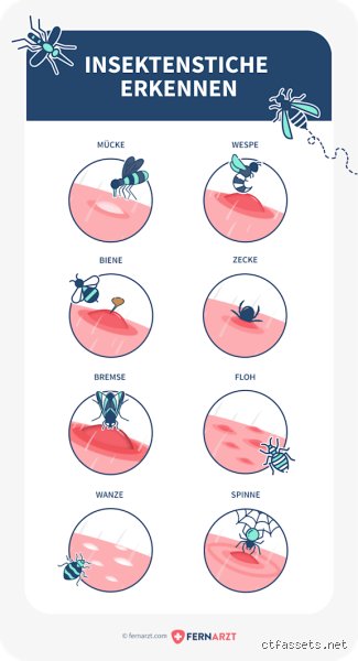 Welcher Insektenstich juckt wirklich am längsten? Meine ganz persönliche Erfahrung mit hartnäckigem Juckreiz