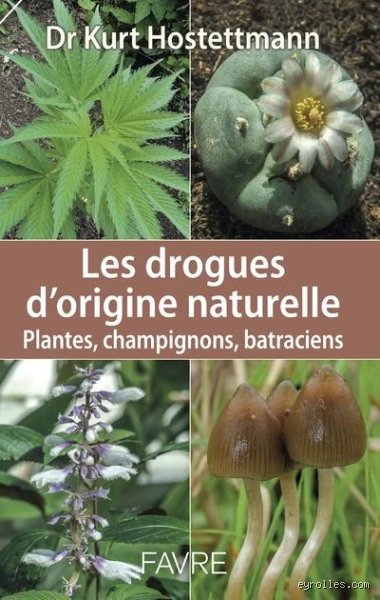 À quoi servaient les drogues à l'origine : du sacré au médical, la véritable histoire des substances psychotropes