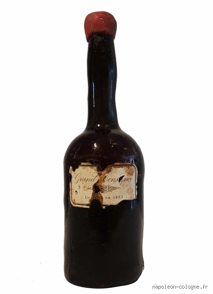 Est-ce que Napoléon buvait de l'alcool ? Enquête sur les habitudes d'un empereur qui détestait l'ivresse