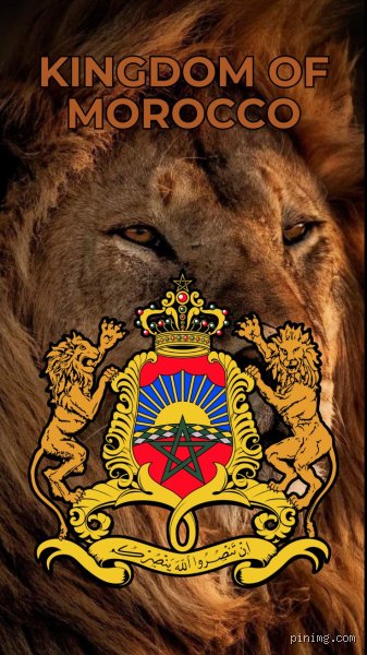Pourquoi le lion est-il le symbole du Maroc ?
