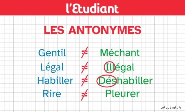 Quelle est l'antonyme de vie ? Analyse philosophique, linguistique et scientifique d'une fausse évidence