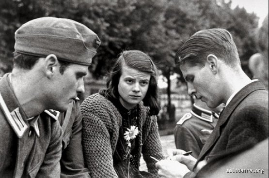 Qui a dénoncé Sophie Scholl ? L'ombre du concierge Jakob Schmid derrière la chute de la Rose Blanche
