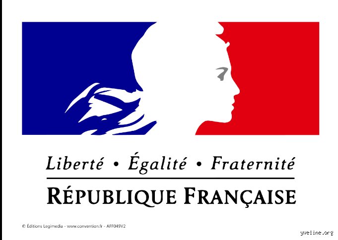 Qui a dit liberté, égalité et fraternité ? L’histoire secrète d’une devise devenue le cri de ralliement d’une nation