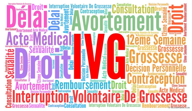 Qui est à l'origine de l'IVG ? Un combat collectif et des figures clés