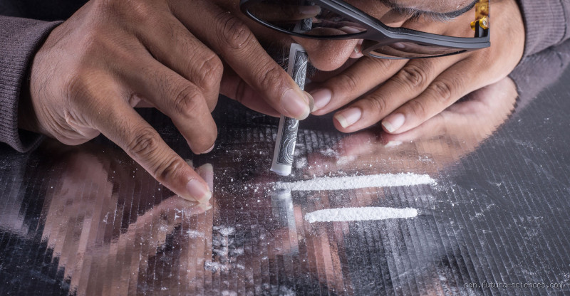 C'est quoi du Loud drogue ? La weed qui fait tourner les têtes