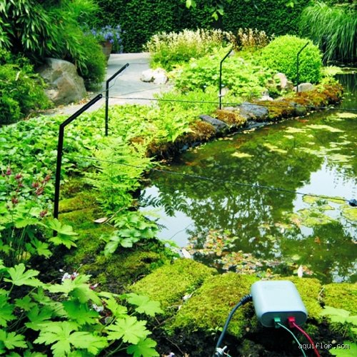 Comment clarifier rapidement l'eau verte d'un étang (fait maison) : le guide de survie biologique pour retrouver une eau cristalline sans se ruiner
