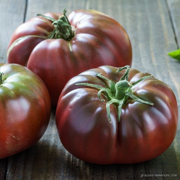 Comment est la tomate russe ? Le guide ultime pour comprendre ce monstre sacré du potager