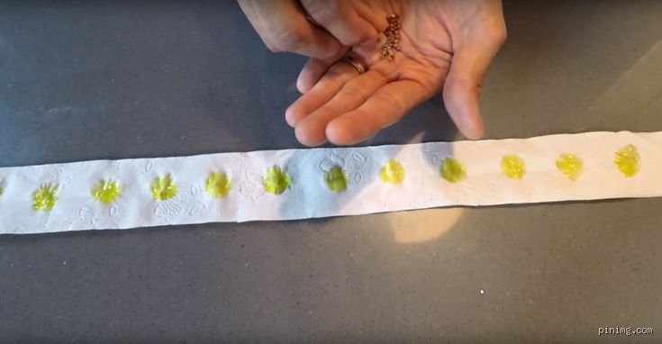 Comment faire des bandes de graines à semer : un guide pratique pour réussir vos semis
