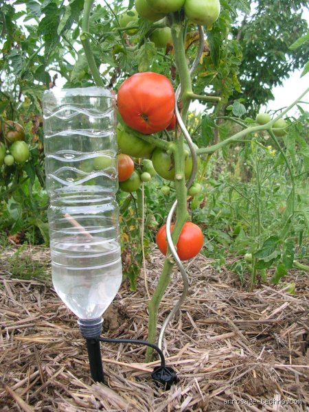 Comment faire un goutte à goutte avec une bouteille d'eau pour tomates ?