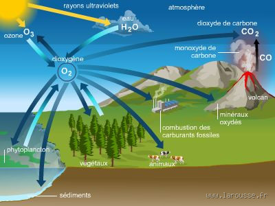 Comment produire de l'oxygène naturellement ?