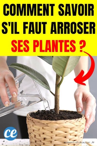 Comment savoir si il faut arroser ?