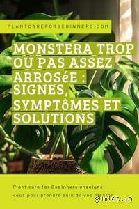 Comment savoir si on arrose trop ou pas assez ?