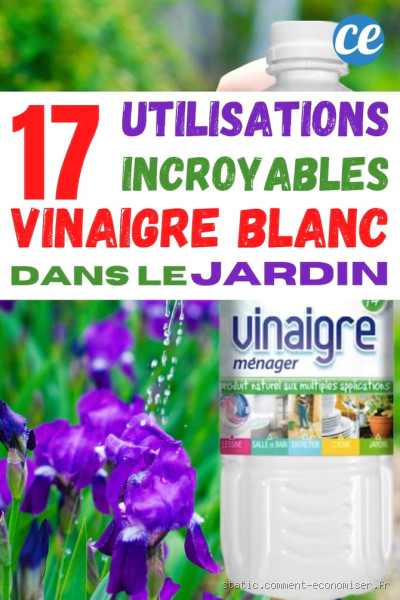 Vinaigre blanc et plantes : miracle écolo ou poison caché ?