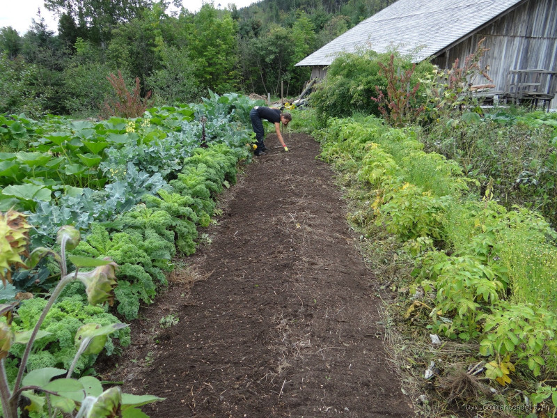 Est-il rentable de faire un jardin chez soi ?