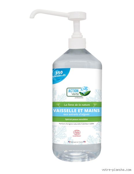 Le liquide vaisselle élimine-t-il les algues ? Enquête sans filtre sur une astuce de jardinier qui divise