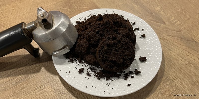 Le marc de café est-il un bon engrais pour les pommes de terre ? Entre mythe horticole et réalité agronomique