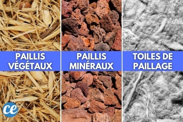 Où trouver de la paille gratuitement : Le guide du récupérateur astucieux