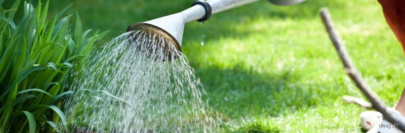 Pourquoi Faut-il arroser ?