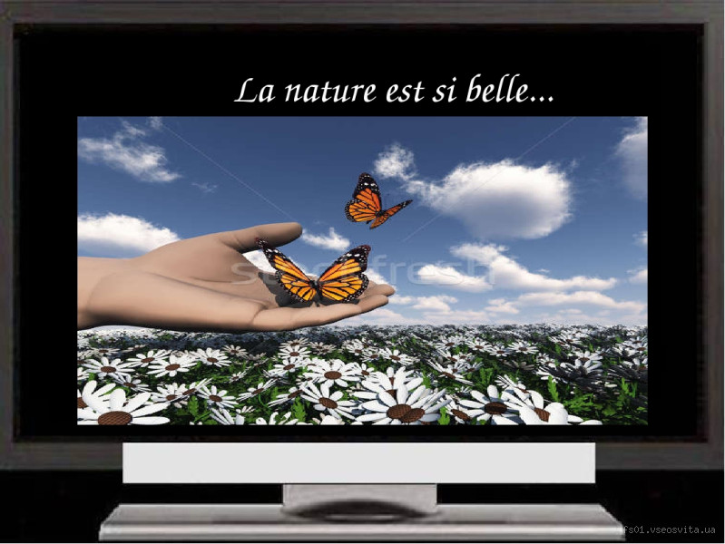 Pourquoi la nature est si belle ? Une question qui touche l’âme