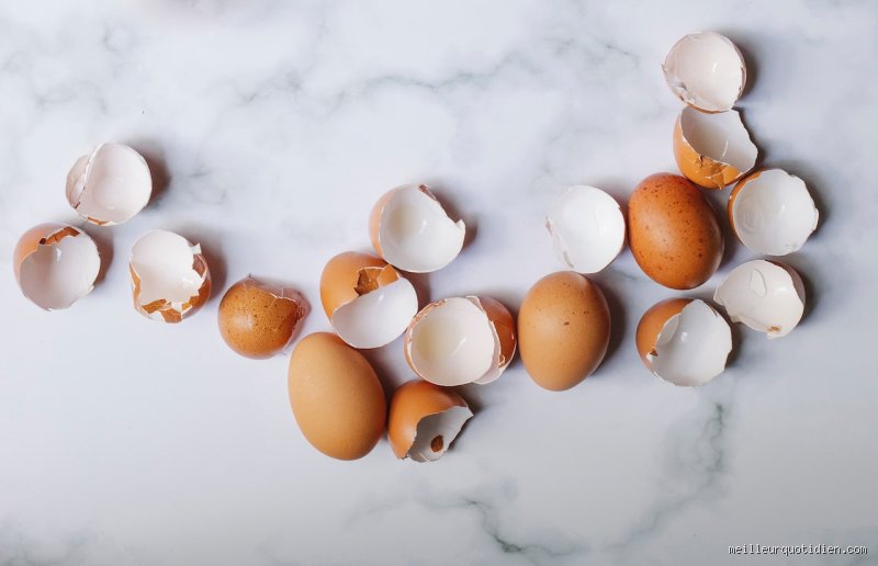 Pourquoi suspendre des coquilles d'œuf dans les branches de vos arbres fruitiers ?