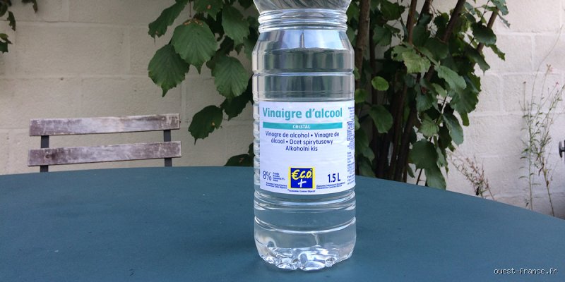 Puis-je arroser mes plantes avec de l'eau vinaigrée ? Vérités et contre-vérités sur ce remède de grand-mère