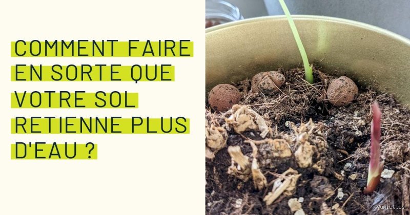 Pourquoi votre terre rejette-t-elle l'arrosage et que faut-il ajouter à un sol qui repousse l'eau pour sauver vos cultures ?