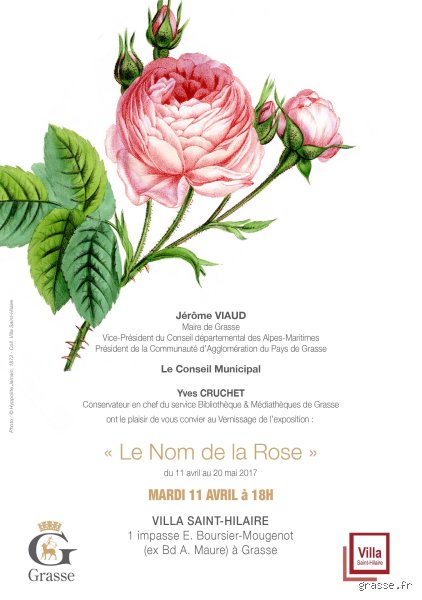 Quel est le prénom de la fleur rose ? Une exploration botanique et culturelle au-delà de la simple couleur