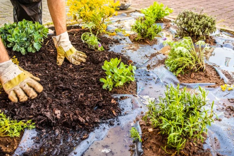 Quel paillage pour protéger du froid ? Mon guide pratique et concret