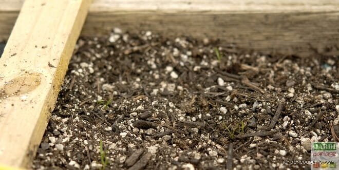 Décryptage : Quelle est vraiment la meilleure terre pour le jardin et comment la créer ?
