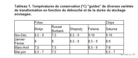 Quelle est la température trop froide pour les pommes de terre et comment éviter le désastre du gel au potager ?