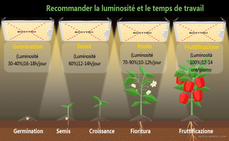 Quelle lumière pour la croissance ? Guide expert du spectre et de l'intensité