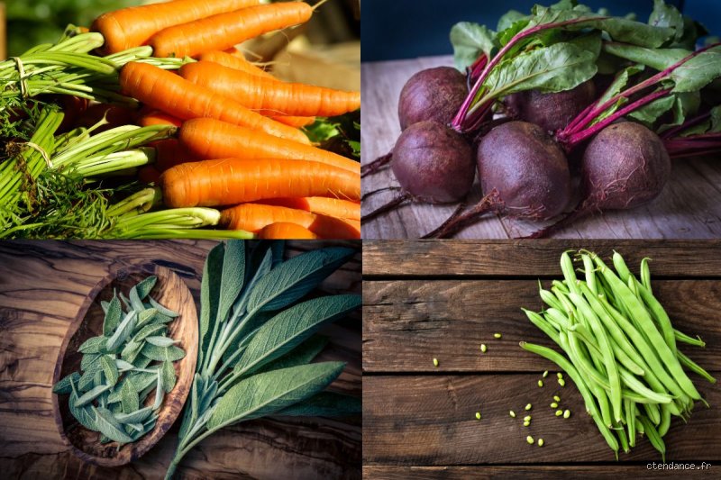 Quels légumes n’ont pas besoin de beaucoup d’eau ? Le guide ultime pour cultiver un potager résilient face à la canicule