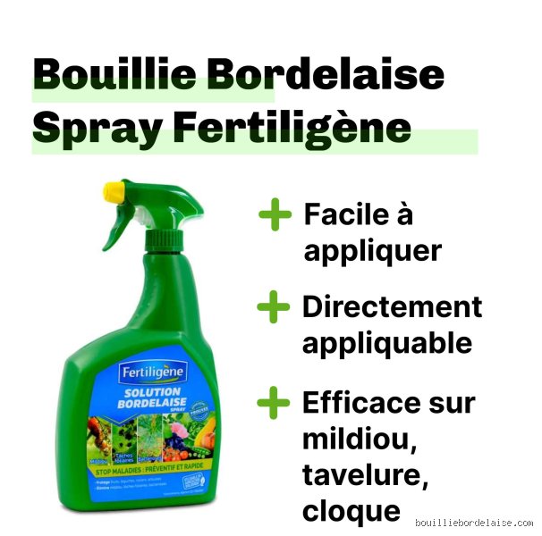 Quels sont les inconvénients de la bouillie bordelaise : pourquoi ce remède de grand-mère pose aujourd'hui un sérieux problème écologique