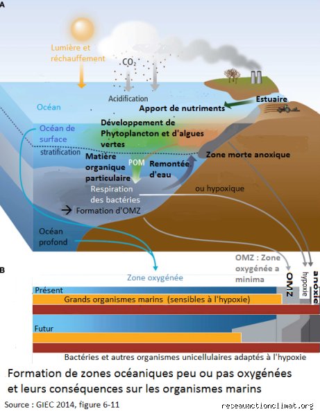 Un excès de CO2 peut-il provoquer la prolifération d'algues ? Enquête sur un lien de causalité complexe et souvent mal interprété