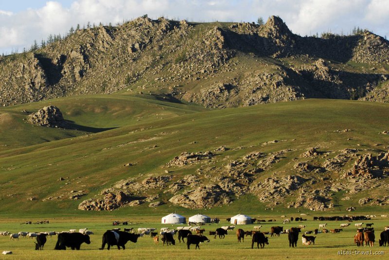 Que signifie 247 en Mongolie ? Pourquoi ce chiffre bouscule-t-il les habitudes des nomades et des citadins aujourd'hui ?