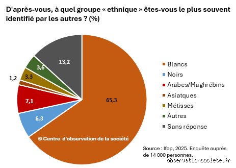 Quel est le pourcentage de la population française qui est noire ? Entre fantasmes, tabous statistiques et réalités sociologiques
