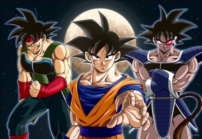 Qui est le frère de Goku ?