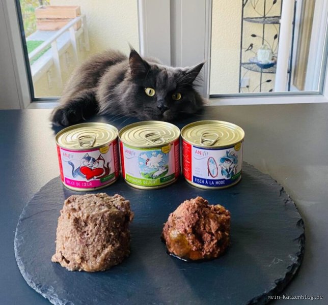 Welches Katzenfutter hat 99% Fleischanteil?