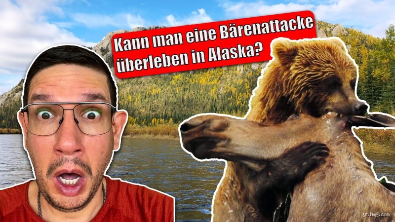 Wie kann man eine bärenattacke überleben?