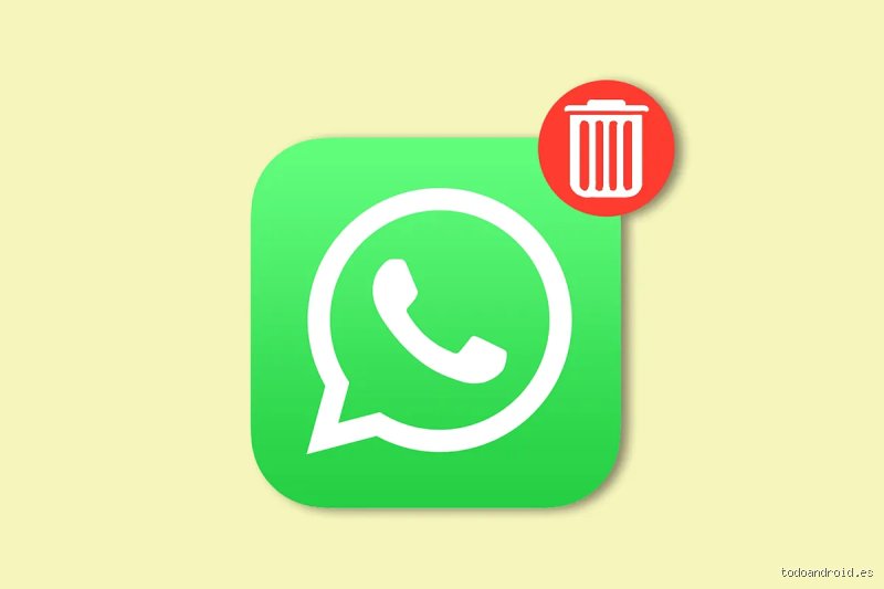 WhatsApp Papierkorb: Die Wahrheit, die WhatsApp dir verschweigt!
