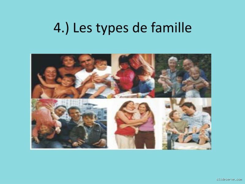 Quels sont les 4 types de famille ?
