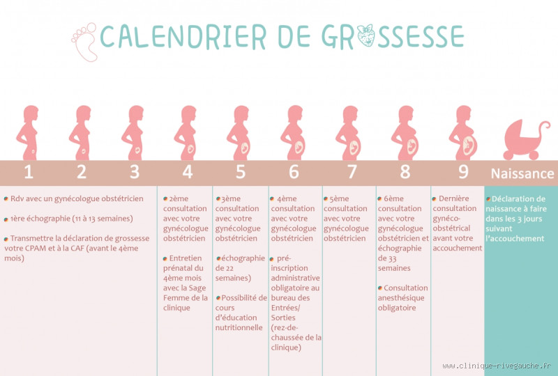 Quelle est la durée d'une première grossesse ?