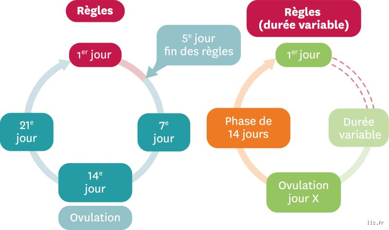 Quelle est l'origine de la règle des quatre et pourquoi ce standard de sécurité incendie divise encore les experts ?