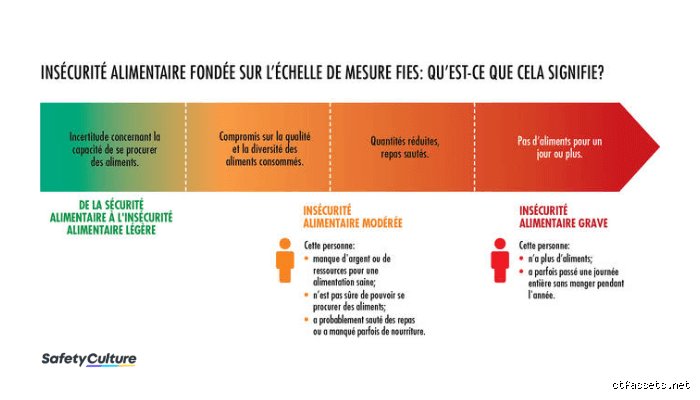 Quels sont les 4 piliers de la sécurité : comprendre enfin les fondations d'une protection totale et efficace