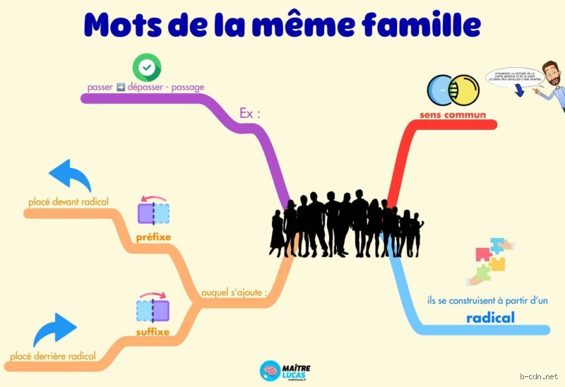 Comment s'appelle 2 mots de la même famille ?