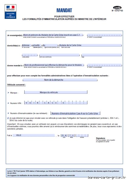 Un Mandat de 8 Ans, Ça S'appelle Comment ? Accrochez-vous, C'est Plus Fun Que Vous Ne le Pensez !