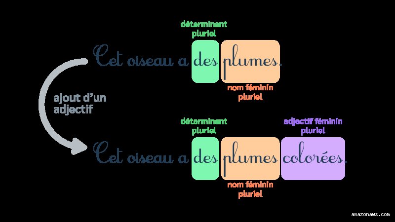 "Peu" : Simple Adjectif ou Caméléon Grammatical ? La Vérité Étonnante !