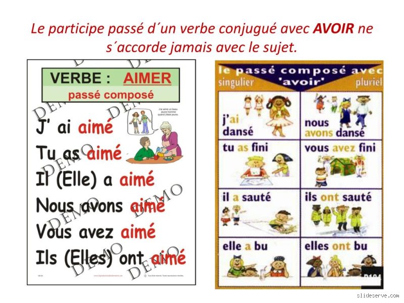 Pourquoi le verbe avoir ne s'accorde pas ?