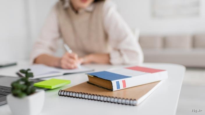 Pourquoi les Français ont du mal à apprendre les langues ?